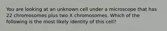 You are looking at an unknown cell under a microscope that has 22 chromosomes plus two X chromosomes. Which of the following is the most likely identity of this cell?