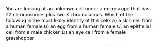 You are looking at an unknown cell under a microscope that has 22 chromosomes plus two X chromosomes. Which of the following is the most likely identity of this cell? A) a skin cell from a human female B) an egg from a human female C) an epithelial cell from a male chicken D) an eye cell from a female grasshopper