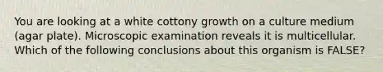 You are looking at a white cottony growth on a culture medium (agar plate). Microscopic examination reveals it is multicellular. Which of the following conclusions about this organism is FALSE?