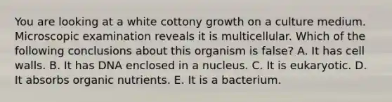 You are looking at a white cottony growth on a culture medium. Microscopic examination reveals it is multicellular. Which of the following conclusions about this organism is false? A. It has cell walls. B. It has DNA enclosed in a nucleus. C. It is eukaryotic. D. It absorbs organic nutrients. E. It is a bacterium.