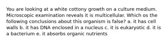 You are looking at a white cottony growth on a culture medium. Microscopic examination reveals it is multicellular. Which os the following conclusions about this organism is false? a. it has cell walls b. it has DNA enclosed in a nucleus c. it is eukaryotic d. it is a bacterium e. it absorbs organic nutrients