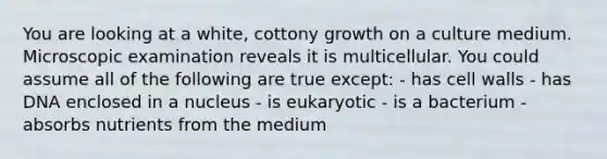 You are looking at a white, cottony growth on a culture medium. Microscopic examination reveals it is multicellular. You could assume all of the following are true except: - has cell walls - has DNA enclosed in a nucleus - is eukaryotic - is a bacterium - absorbs nutrients from the medium