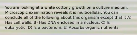 You are looking at a white cottony growth on a culture medium. Microscopic examination reveals it is multicellular. You can conclude all of the following about this organism except that it A) Has cell walls. B) Has DNA enclosed in a nucleus. C) Is eukaryotic. D) Is a bacterium. E) Absorbs organic nutrients.