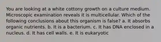 You are looking at a white cottony growth on a culture medium. Microscopic examination reveals it is multicellular. Which of the following conclusions about this organism is false? a. It absorbs organic nutrients. b. It is a bacterium. c. It has DNA enclosed in a nucleus. d. It has cell walls. e. It is eukaryotic