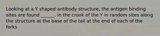 Looking at a Y shaped antibody structure, the antigen binding sites are found ______. in the crook of the Y in random sites along the structure at the base of the tail at the end of each of the forks