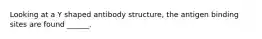 Looking at a Y shaped antibody structure, the antigen binding sites are found ______.