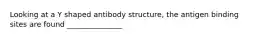 Looking at a Y shaped antibody structure, the antigen binding sites are found _______________