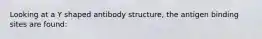 Looking at a Y shaped antibody structure, the antigen binding sites are found: