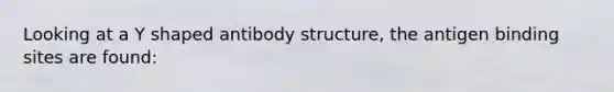 Looking at a Y shaped antibody structure, the antigen binding sites are found: