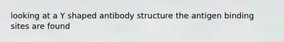 looking at a Y shaped antibody structure the antigen binding sites are found