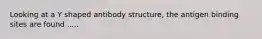 Looking at a Y shaped antibody structure, the antigen binding sites are found .....