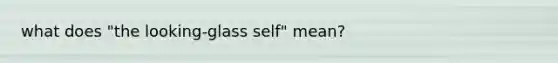 what does "the looking-glass self" mean?