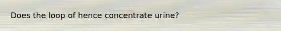 Does the loop of hence concentrate urine?