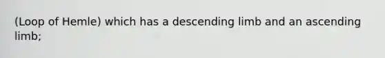 (Loop of Hemle) which has a descending limb and an ascending limb;