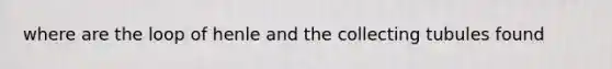 where are the loop of henle and the collecting tubules found