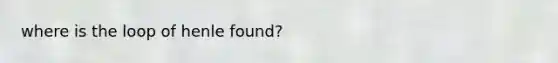 where is the loop of henle found?