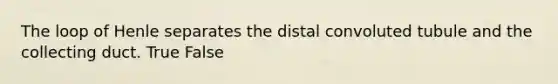 The loop of Henle separates the distal convoluted tubule and the collecting duct. True False