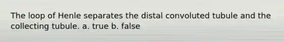 The loop of Henle separates the distal convoluted tubule and the collecting tubule. a. true b. false