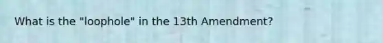 What is the "loophole" in the 13th Amendment?