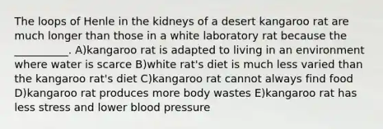 The loops of Henle in the kidneys of a desert kangaroo rat are much longer than those in a white laboratory rat because the __________. A)kangaroo rat is adapted to living in an environment where water is scarce B)white rat's diet is much less varied than the kangaroo rat's diet C)kangaroo rat cannot always find food D)kangaroo rat produces more body wastes E)kangaroo rat has less stress and lower blood pressure