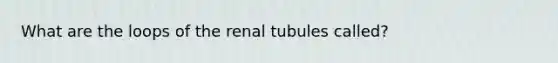 What are the loops of the renal tubules called?