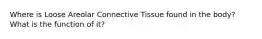 Where is Loose Areolar Connective Tissue found in the body? What is the function of it?