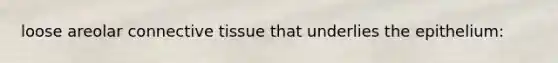 loose areolar connective tissue that underlies the epithelium: