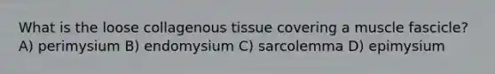 What is the loose collagenous tissue covering a muscle fascicle? A) perimysium B) endomysium C) sarcolemma D) epimysium