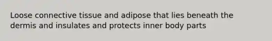 Loose connective tissue and adipose that lies beneath the dermis and insulates and protects inner body parts