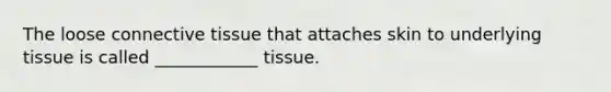 The loose connective tissue that attaches skin to underlying tissue is called ____________ tissue.