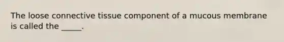 The loose connective tissue component of a mucous membrane is called the _____.