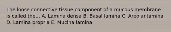 The loose connective tissue component of a mucous membrane is called the... A. Lamina densa B. Basal lamina C. Areolar lamina D. Lamina propria E. Mucina lamina