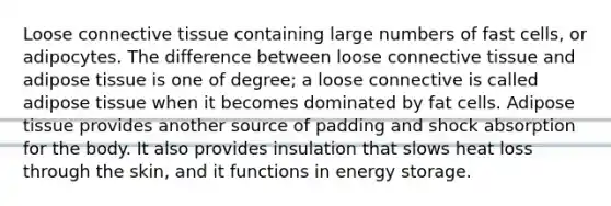 Loose connective tissue containing large numbers of fast cells, or adipocytes. The difference between loose connective tissue and adipose tissue is one of degree; a loose connective is called adipose tissue when it becomes dominated by fat cells. Adipose tissue provides another source of padding and shock absorption for the body. It also provides insulation that slows heat loss through the skin, and it functions in energy storage.