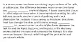 is a loose connective tissue containing large numbers of fat cells, or adipocytes. The difference between loose connective tissue and ________ _________ is one of degree. A loose connective tissue is called adipose tissue when it becomes dominated by fat cells. Adipose tissue is another source of padding and shock absorption for the body. It also serves as insulation that slows heat loss through the skin, and it stores energy. __________ _________ is common under the skin of the flanks (between the last rib and the hips), buttocks, and breasts. It fills the bony sockets behind the eyes and surrounds the kidneys. It is also common beneath the epithelial lining of the pericardial and peritoneal cavities.