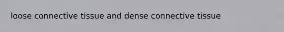 loose <a href='https://www.questionai.com/knowledge/kYDr0DHyc8-connective-tissue' class='anchor-knowledge'>connective tissue</a> and dense connective tissue