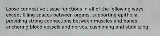 Loose connective tissue functions in all of the following ways except filling spaces between organs. supporting epithelia. providing strong connections between muscles and bones. anchoring blood vessels and nerves. cushioning and stabilizing.