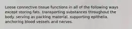 Loose connective tissue functions in all of the following ways except storing fats. transporting substances throughout the body. serving as packing material. supporting epithelia. anchoring blood vessels and nerves.