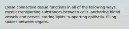 Loose connective tissue functions in all of the following ways, except transporting substances between cells. anchoring blood vessels and nerves. storing lipids. supporting epithelia. filling spaces between organs.