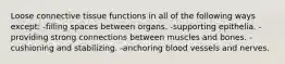 Loose connective tissue functions in all of the following ways except: -filling spaces between organs. -supporting epithelia. -providing strong connections between muscles and bones. -cushioning and stabilizing. -anchoring blood vessels and nerves.