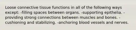 Loose connective tissue functions in all of the following ways except: -filling spaces between organs. -supporting epithelia. -providing strong connections between muscles and bones. -cushioning and stabilizing. -anchoring blood vessels and nerves.