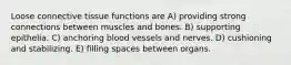 Loose connective tissue functions are A) providing strong connections between muscles and bones. B) supporting epithelia. C) anchoring blood vessels and nerves. D) cushioning and stabilizing. E) filling spaces between organs.