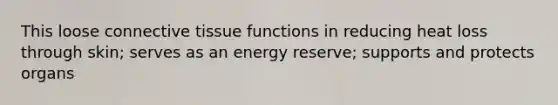 This loose connective tissue functions in reducing heat loss through skin; serves as an energy reserve; supports and protects organs