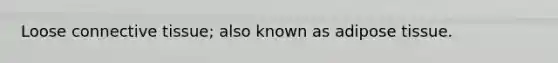 Loose connective tissue; also known as adipose tissue.