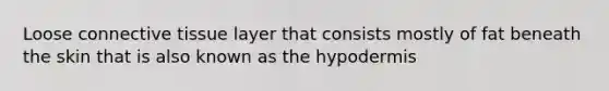 Loose connective tissue layer that consists mostly of fat beneath the skin that is also known as the hypodermis