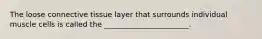 The loose connective tissue layer that surrounds individual muscle cells is called the _______________________.