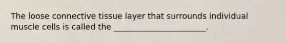 The loose connective tissue layer that surrounds individual muscle cells is called the _______________________.