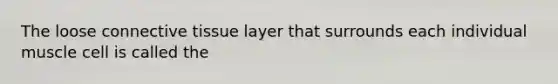 The loose connective tissue layer that surrounds each individual muscle cell is called the