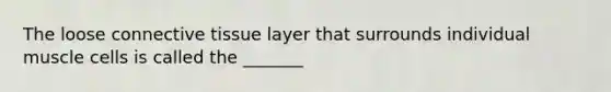 The loose connective tissue layer that surrounds individual muscle cells is called the _______