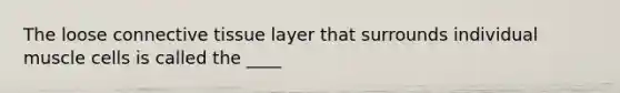 The loose connective tissue layer that surrounds individual muscle cells is called the ____