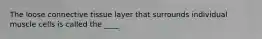 The loose connective tissue layer that surrounds individual muscle cells is called the ____.